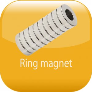 Ring magnet