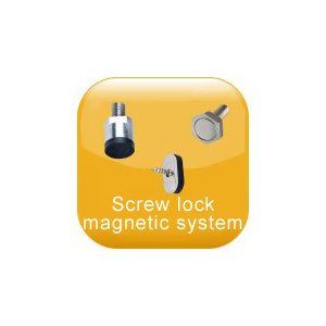 Screw lock magnetic system